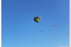 Symultana 201800908 (41)