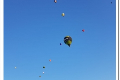 Symultana 201800908 (42)