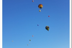 Symultana 201800908 (43)